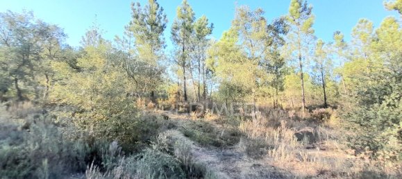 Grundstück in Sarzedas, Portugal 39520m², Nr. 90676 5