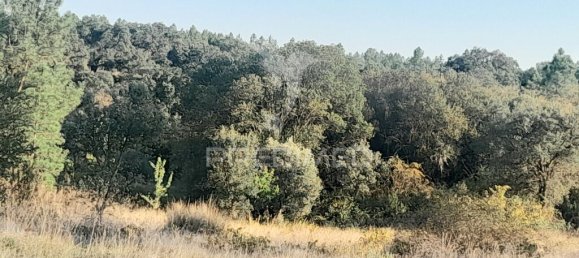 Grundstück in Sarzedas, Portugal 39520m², Nr. 90676 11