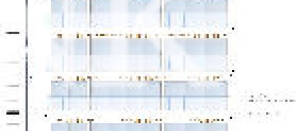 2 Schlafzimmer Wohnung in Sliema, Malta, Nr. 1734 17