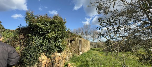 1 bedroom House in Viseu, Portugal No. 157015 48