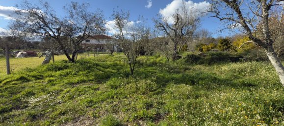 1 bedroom House in Viseu, Portugal No. 157015 50