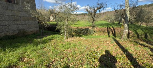 1 bedroom House in Viseu, Portugal No. 157015 37