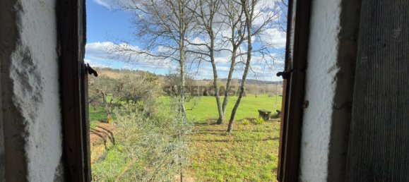 1 bedroom House in Viseu, Portugal No. 157015 42