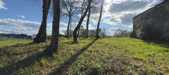 1 bedroom House in Viseu, Portugal No. 157015 32