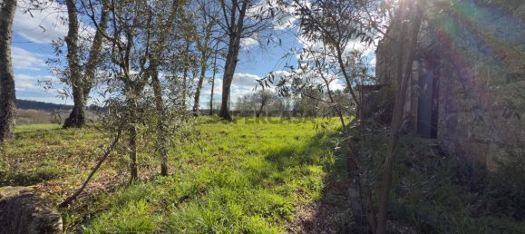 1 bedroom House in Viseu, Portugal No. 157015 33