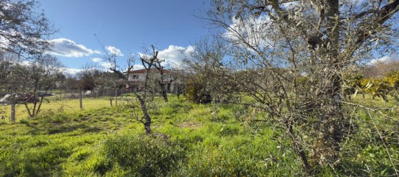 1 bedroom House in Viseu, Portugal No. 157015 45