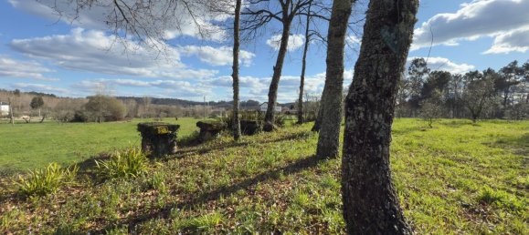 1 bedroom House in Viseu, Portugal No. 157015 38