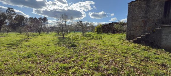 1 bedroom House in Viseu, Portugal No. 157015 36