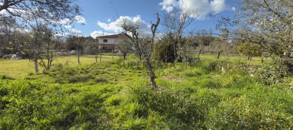 1 bedroom House in Viseu, Portugal No. 157015 44