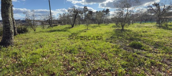 1 bedroom House in Viseu, Portugal No. 157015 35