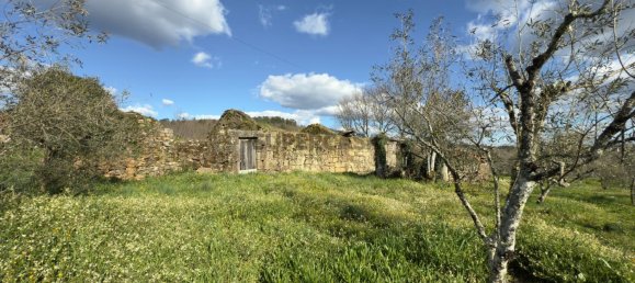 1 bedroom House in Viseu, Portugal No. 157015 49