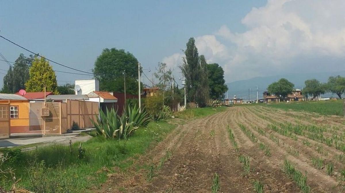  Land in Zinacantepec, Mexico No. 202655