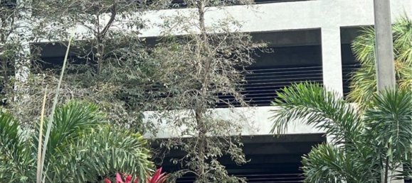 2 dormitorios propiedad comercial en venta en Miami, Miami-Dade, Florida, USA № 614808 3