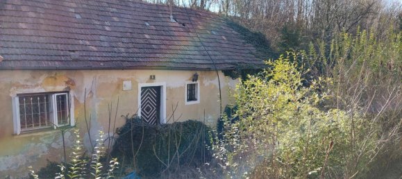 3-Zimmer Haus in Hofamt Priel, Austria, Nr. 15126 10