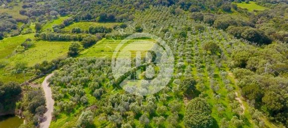 6 غرف نوم فيلا في Palau, Italy رقم 19380 3