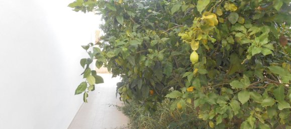 2 rooms Apartment in Fuscaldo, Italy No. 164886 17