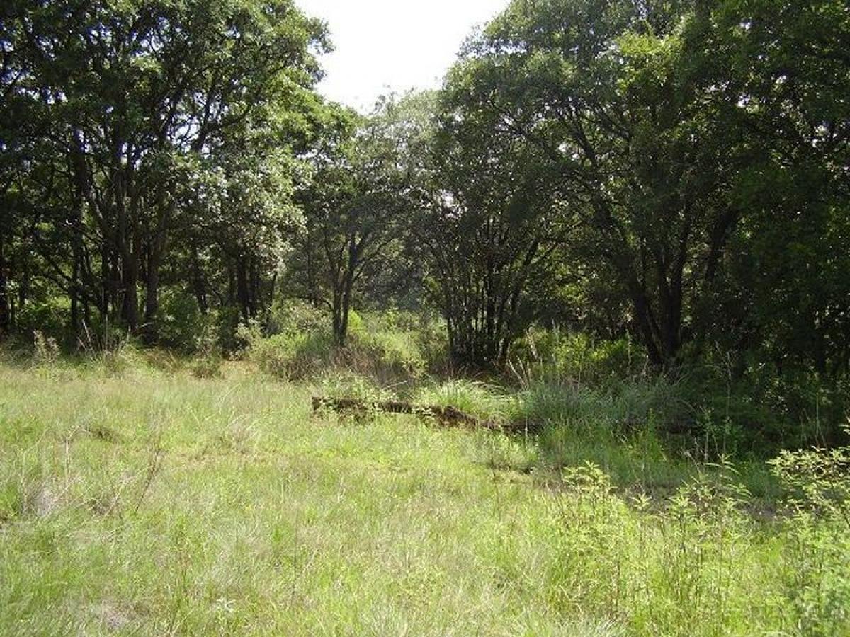 Grundstück in Naucalpan de Juarez, Mexico, Nr. 204317