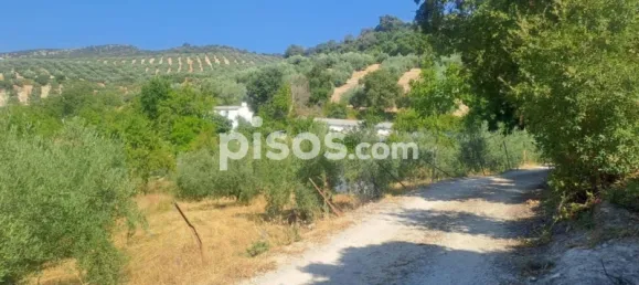 Дом с 4 спальнями в Кабра, Испания № 142940 29