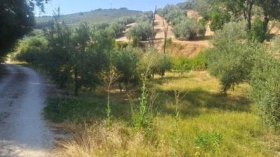 Дом с 4 спальнями в Кабра, Испания № 142940