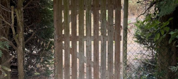  قطعة أرض في Donnersbergkreis, Germany رقم 236267 4