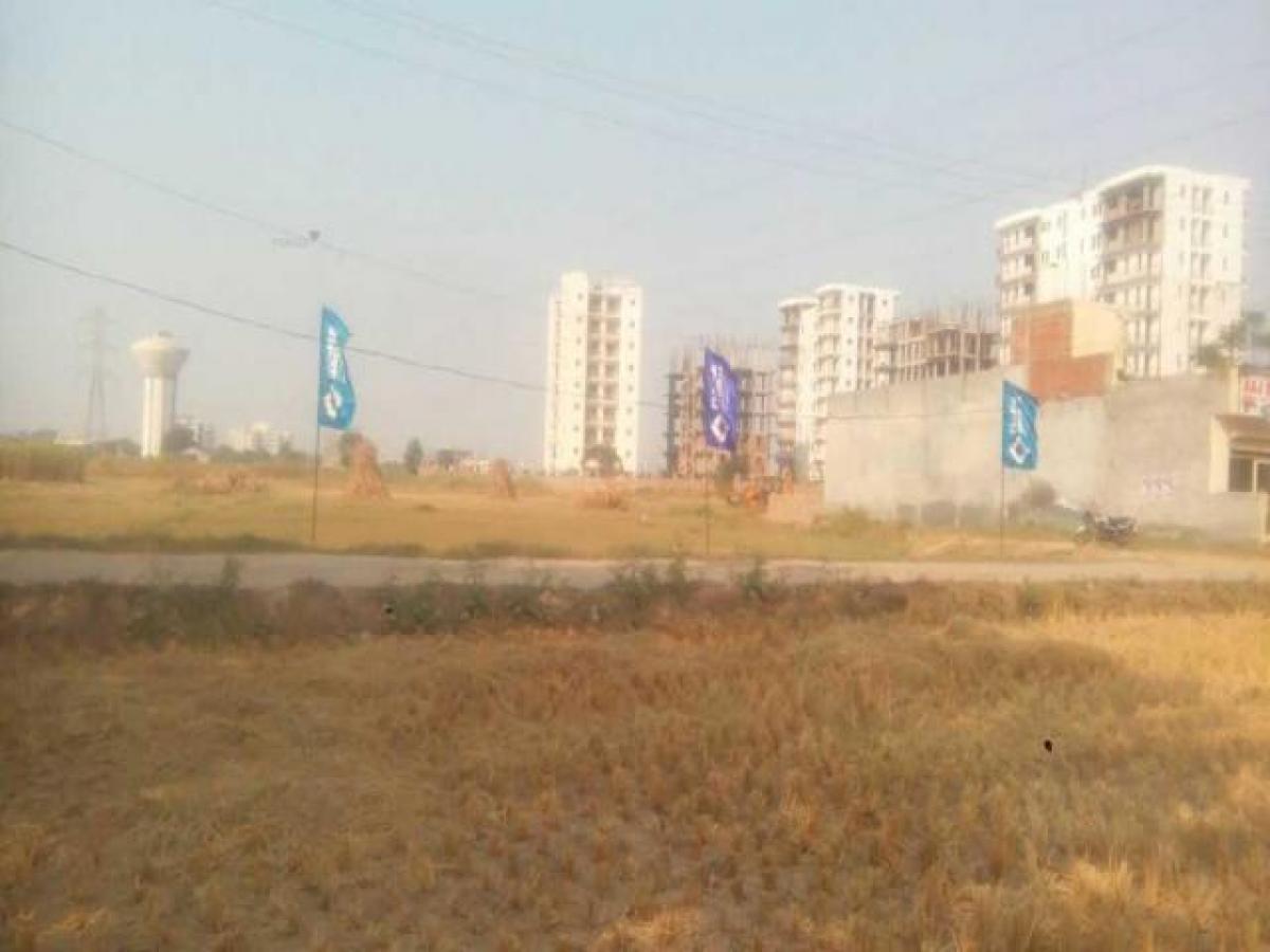  Land in Mohali, India No. 37663