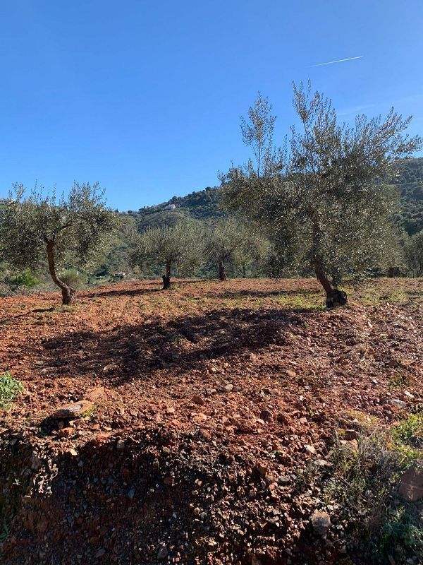 Grundstück in Guaro, Spain 73421m², Nr. 227414