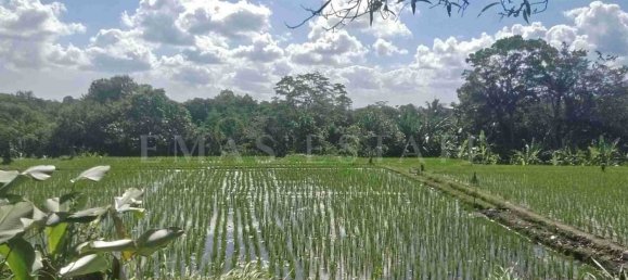  Land in Kediri, Indonesia No. 37 9