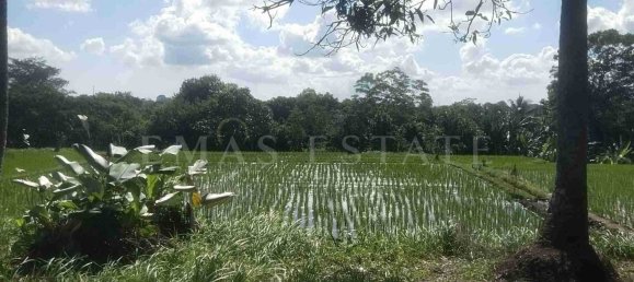  Land in Kediri, Indonesia No. 37 8