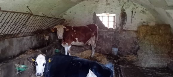 Дом с 10 комнатами в Филаттьера, Италия № 51093 16