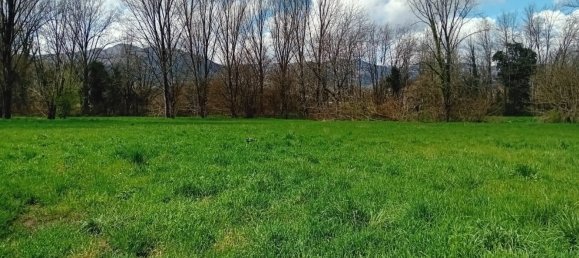 Дом с 10 комнатами в Филаттьера, Италия № 51093 7