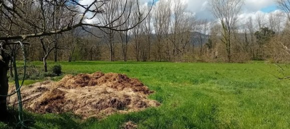 Дом с 10 комнатами в Филаттьера, Италия № 51093 33