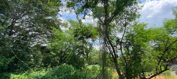 20 bedrooms Commercial property in Chiang Mai, Thailand No. 9116 5