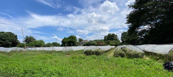 20 bedrooms Commercial property in Chiang Mai, Thailand No. 9116 2