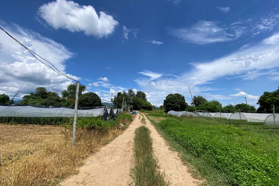 20 bedrooms Commercial property in Chiang Mai, Thailand No. 9116