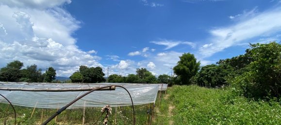 20 bedrooms Commercial property in Chiang Mai, Thailand No. 9116 7