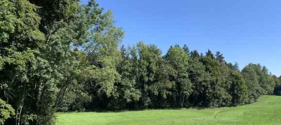 5 غرف نوم مزرعة في Ebersberg, Germany رقم 234206 10