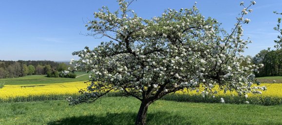 5 غرف نوم مزرعة في Ebersberg, Germany رقم 234206 6