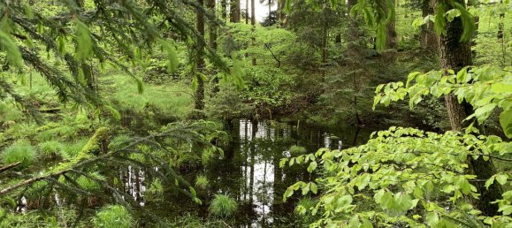 5 غرف نوم مزرعة في Ebersberg, Germany رقم 234206 9