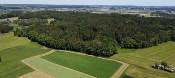 5 غرف نوم مزرعة في Ebersberg, Germany رقم 234206 12