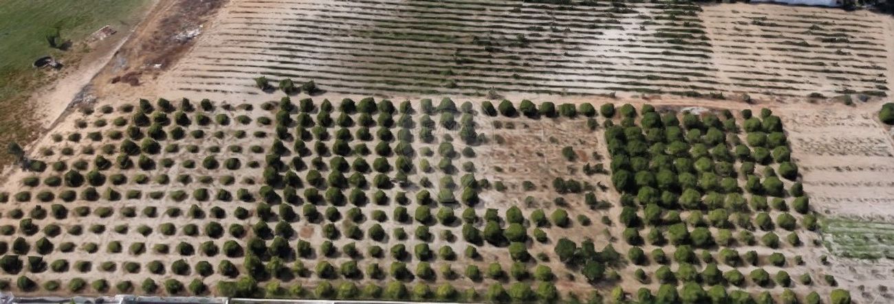 19500m² Land in Palmela, Portugal No. 92312