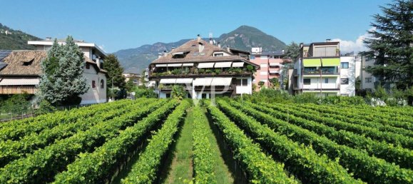 3 rooms Apartment in Trentino-Alto Adige, Italy No. 25734 25