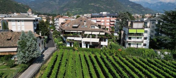 3 rooms Apartment in Trentino-Alto Adige, Italy No. 25734 2