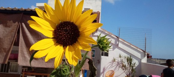 Apartamento de 3 dormitorios en Les Alqueries, Spain No. 145866 22