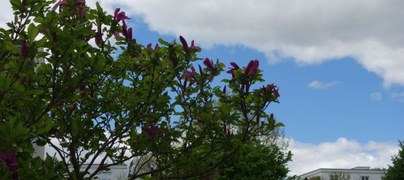 Apartamento de 1 dormitorio en Munich, Germany No. 137767 16