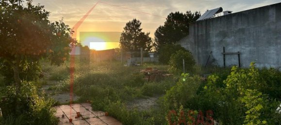 5 bedrooms House in Palmela, Portugal No. 144510 9