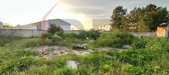 5 bedrooms House in Palmela, Portugal No. 144510 12