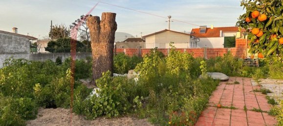 5 bedrooms House in Palmela, Portugal No. 144510 11