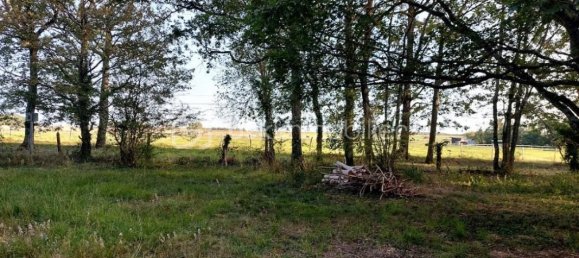 Casa de 3 dormitorios en Chateau-Renard, France No. 65767 11