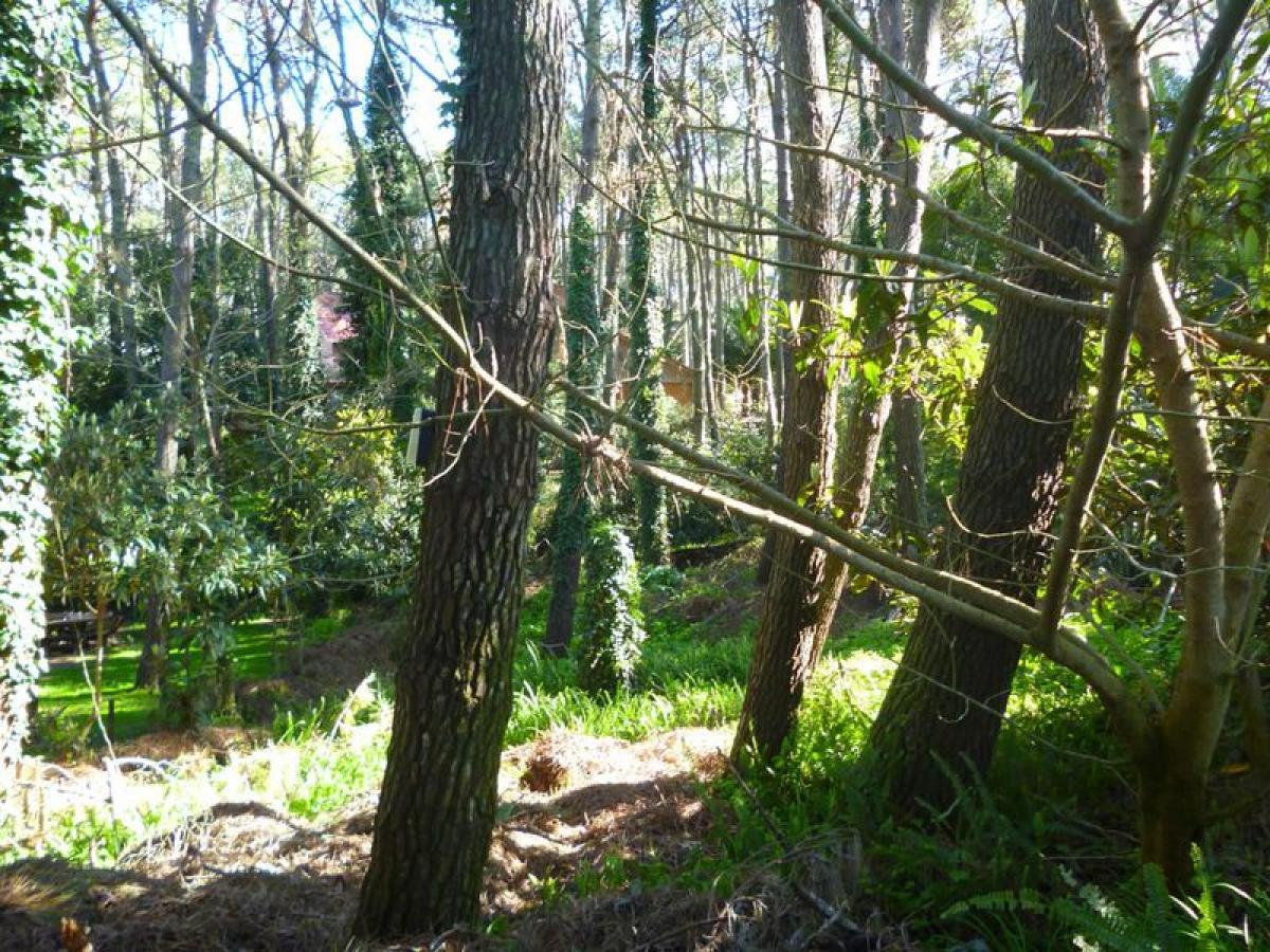 Grundstück in Mar del Plata, Argentina, Nr. 117323