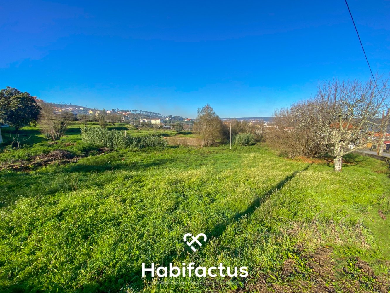 Terrain à Mangualde, Portugal No. 41246
